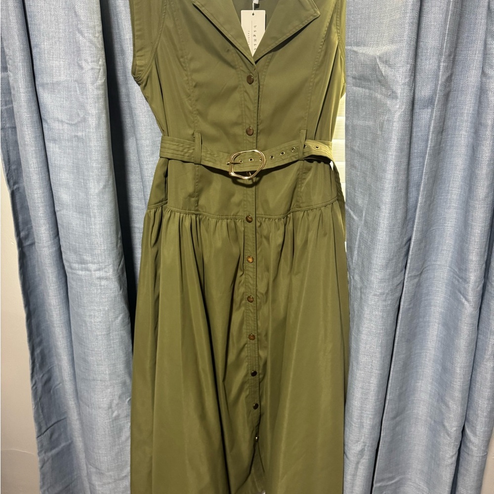 Drop waist green dress
